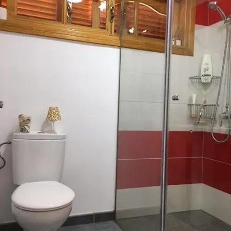 Apartment Double Private Terrace And Private Bathroom In Shared San Bartolome de Tirajana (Gran Canaria)